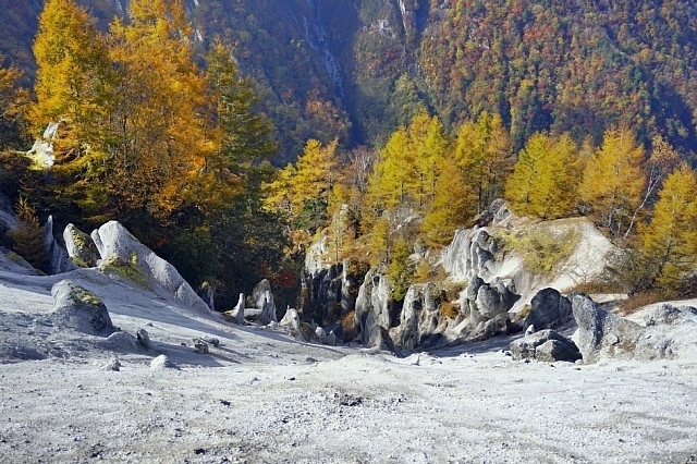 b0122448_19431421.jpg