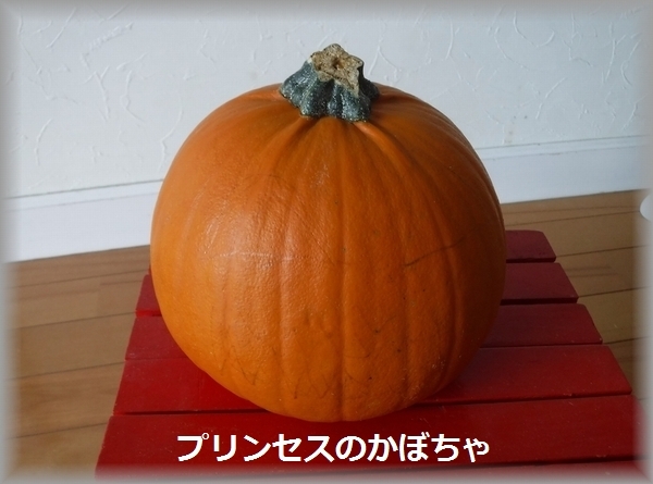 a0090451_17034516.jpg