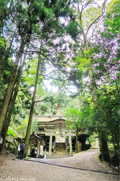 f0351853_19302985.jpg