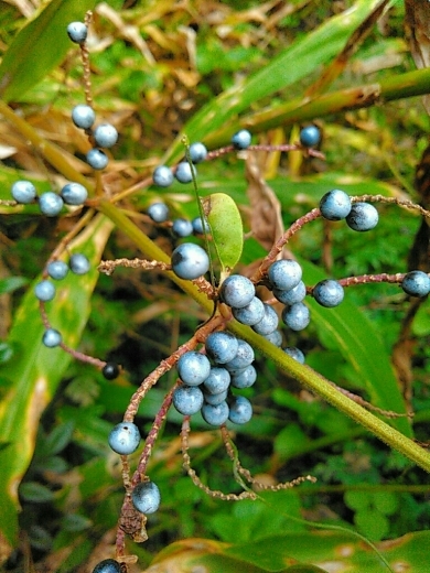 a0018655_12570381.jpg