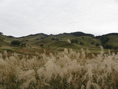 b0096463_10222224.jpg