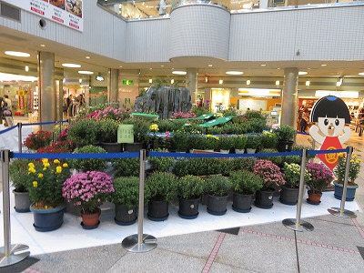 b0096463_11204965.jpg