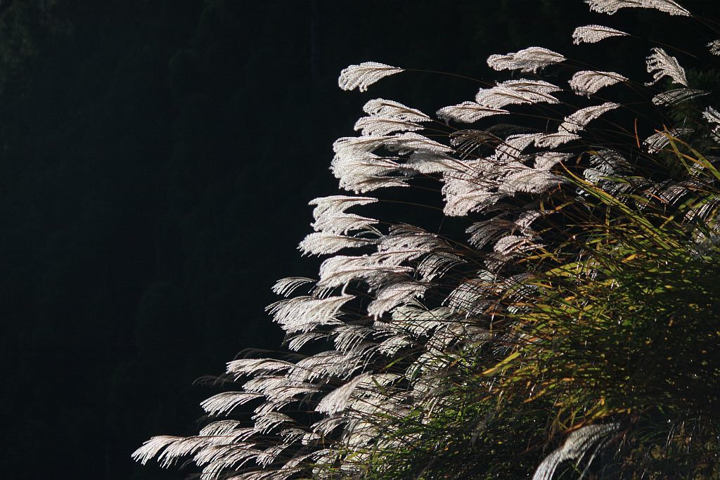 e0220163_19054340.jpg