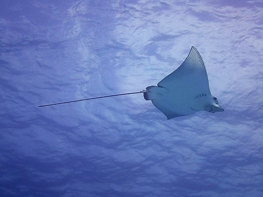 e0132965_9103977.jpg