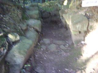 f0150767_21582403.jpg