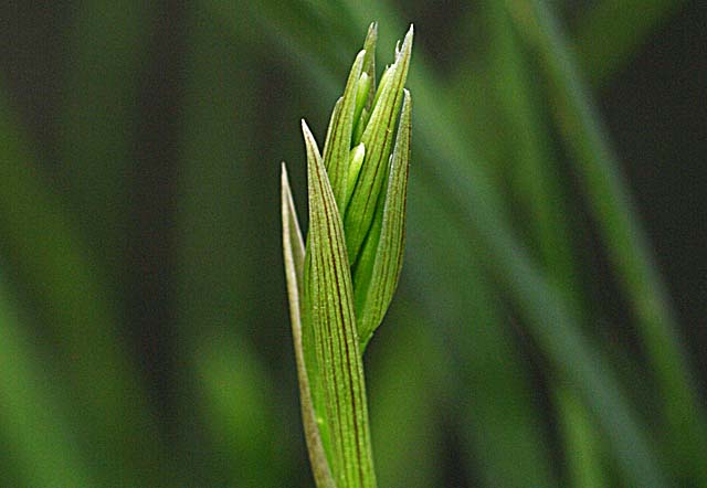 c0068168_1091561.jpg