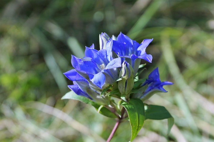 c0248473_19521137.jpg