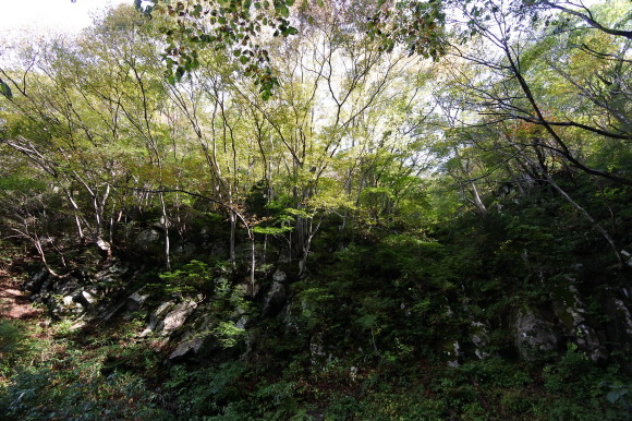 e0024081_07473947.jpg