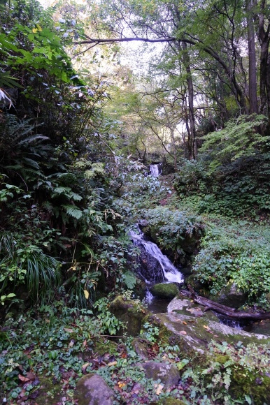 e0024081_07483010.jpg