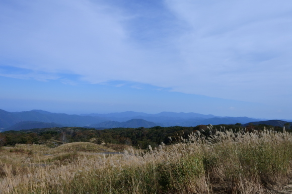 e0024081_07492206.jpg