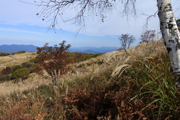 e0024081_07504883.jpg
