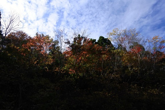 e0024081_07571497.jpg