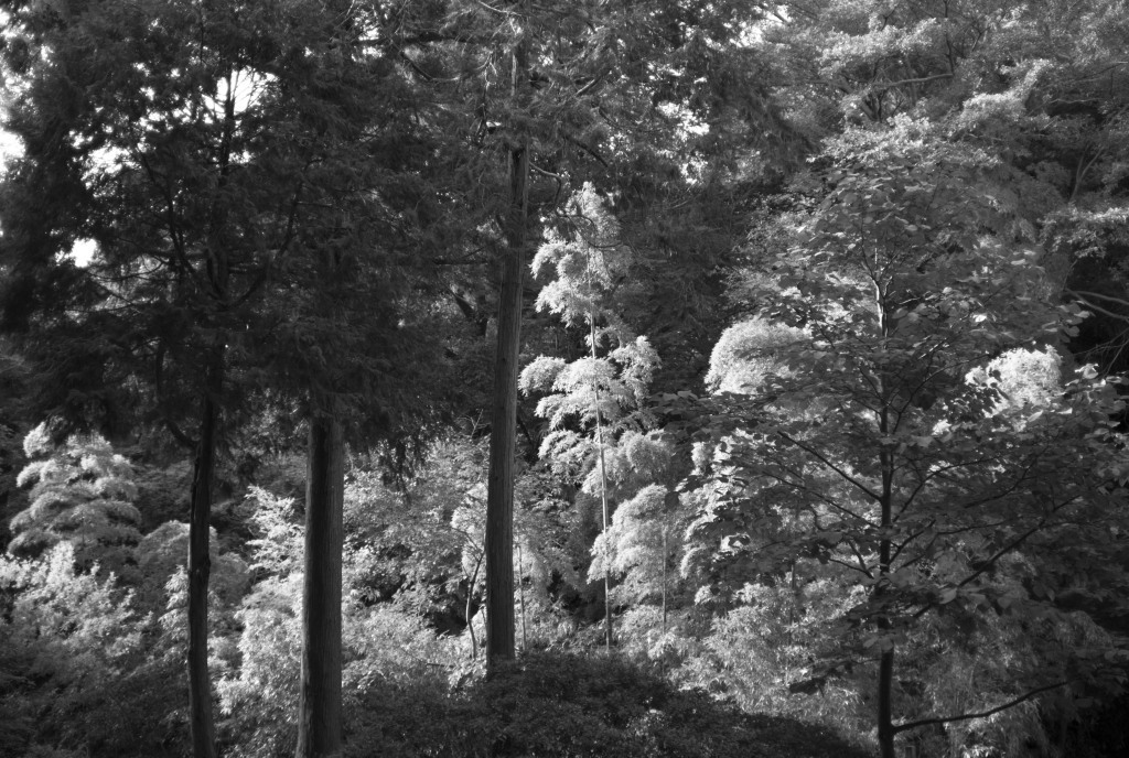 c0238497_18000179.jpg
