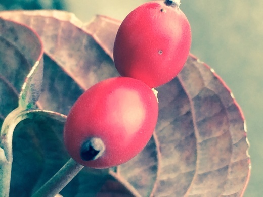 f0201297_09410872.jpg
