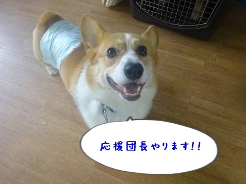 a0338800_21054069.jpg