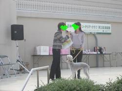 e0359403_15444386.jpg