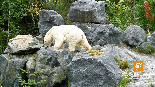 a0151913_23115483.jpg