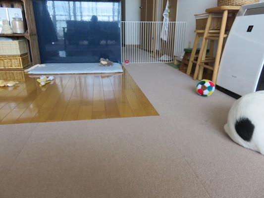 c0084117_20261292.jpg