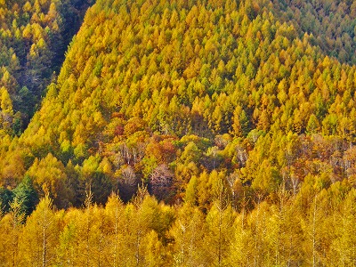 a0353718_194758.jpg
