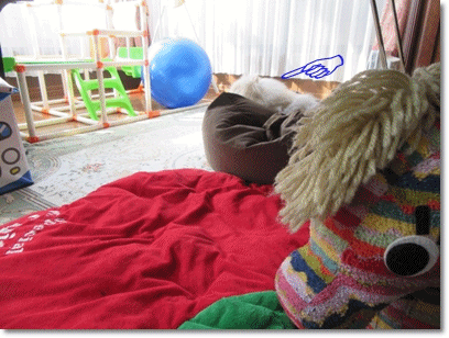 b0167519_1118926.gif