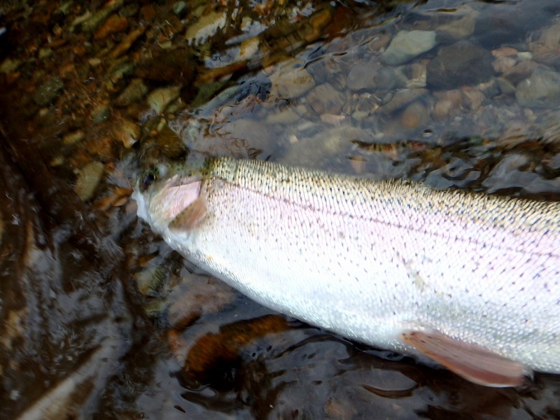 d0091323_13304108.jpg
