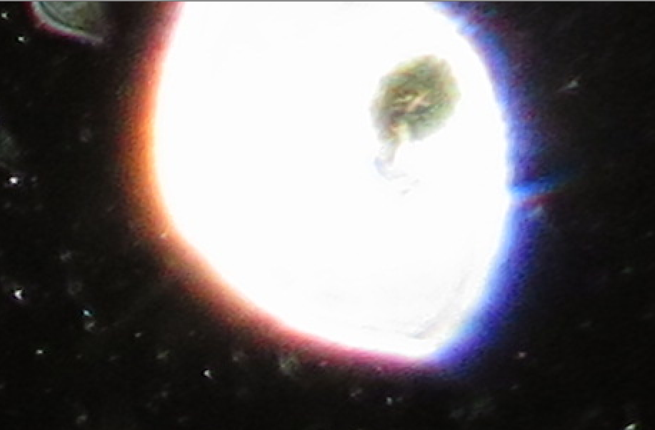 c0331825_12011619.png