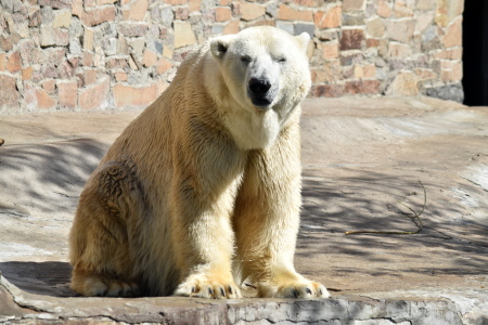 f0344626_03591215.jpg