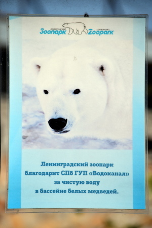 f0344626_04020861.jpg