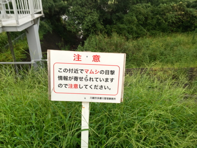 d0013834_00495016.jpg