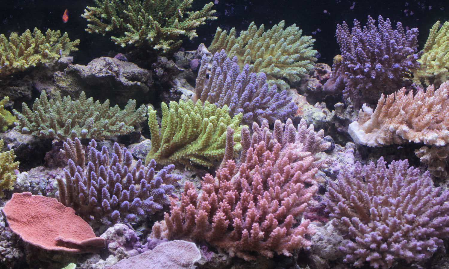 d0221436_23145068.jpg