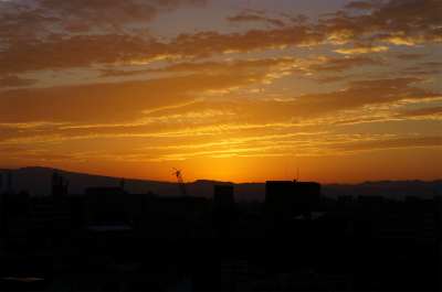 a0135840_927266.jpg