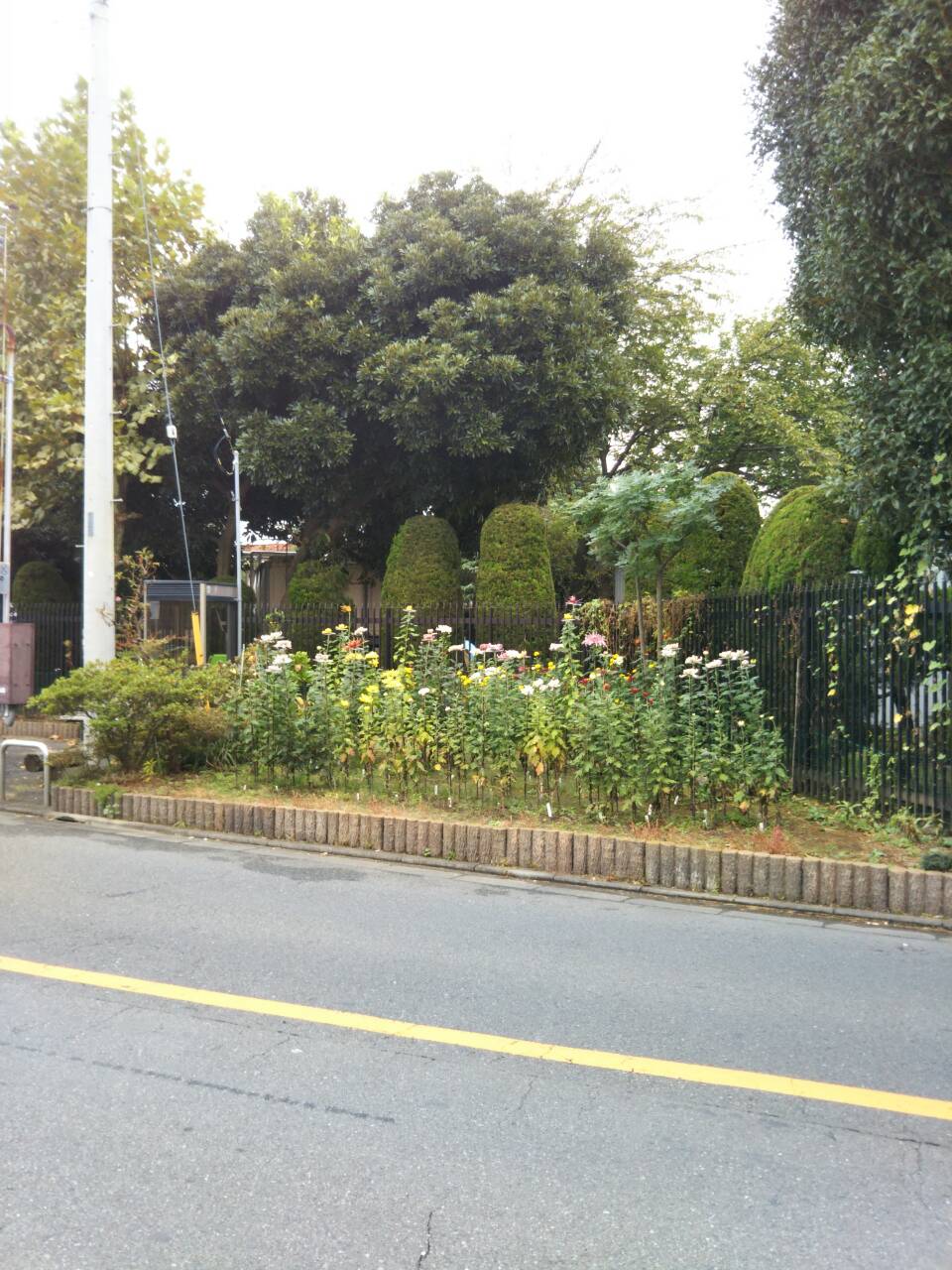 b0031140_1271196.jpg