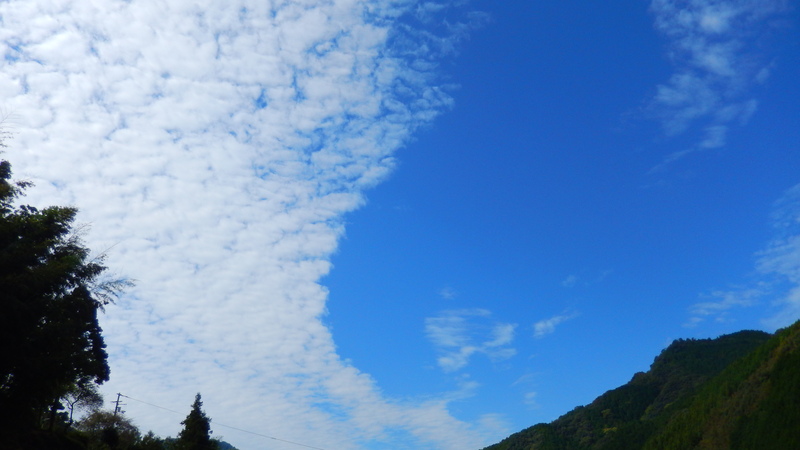 b0289941_18511958.jpg