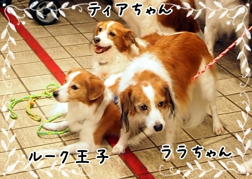 d0013149_00162617.jpg