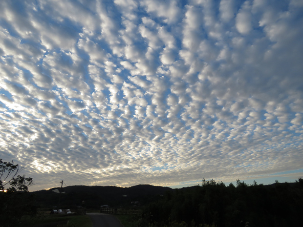 f0214649_4562622.jpg