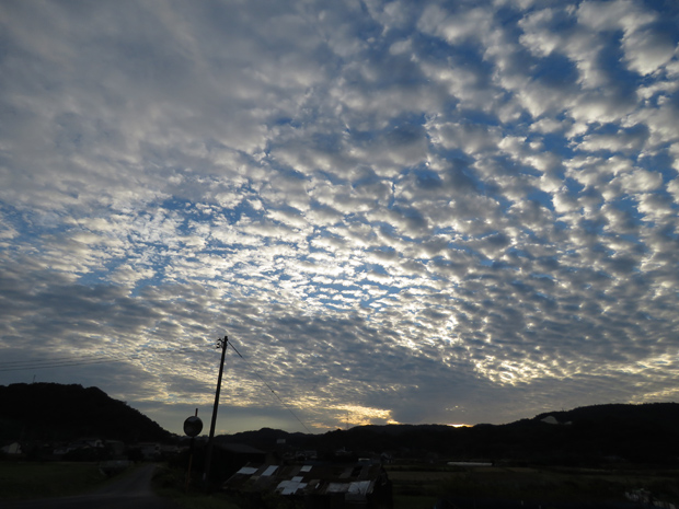 f0214649_4565249.jpg