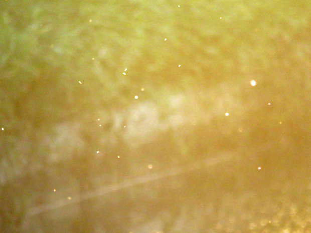 f0214649_517148.jpg