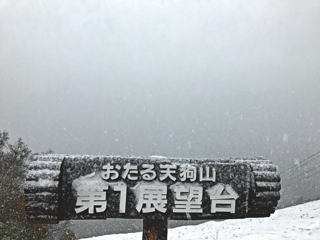e0105954_1321533.jpg
