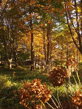 b0335256_11033289.jpg
