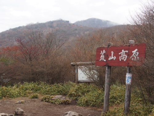 b0335256_15474112.jpg