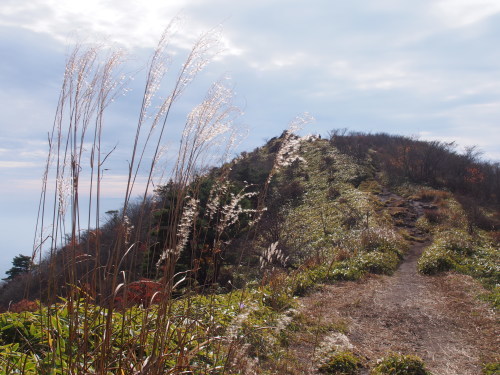 b0335256_21081312.jpg