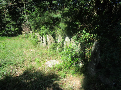 c0125356_23481342.png
