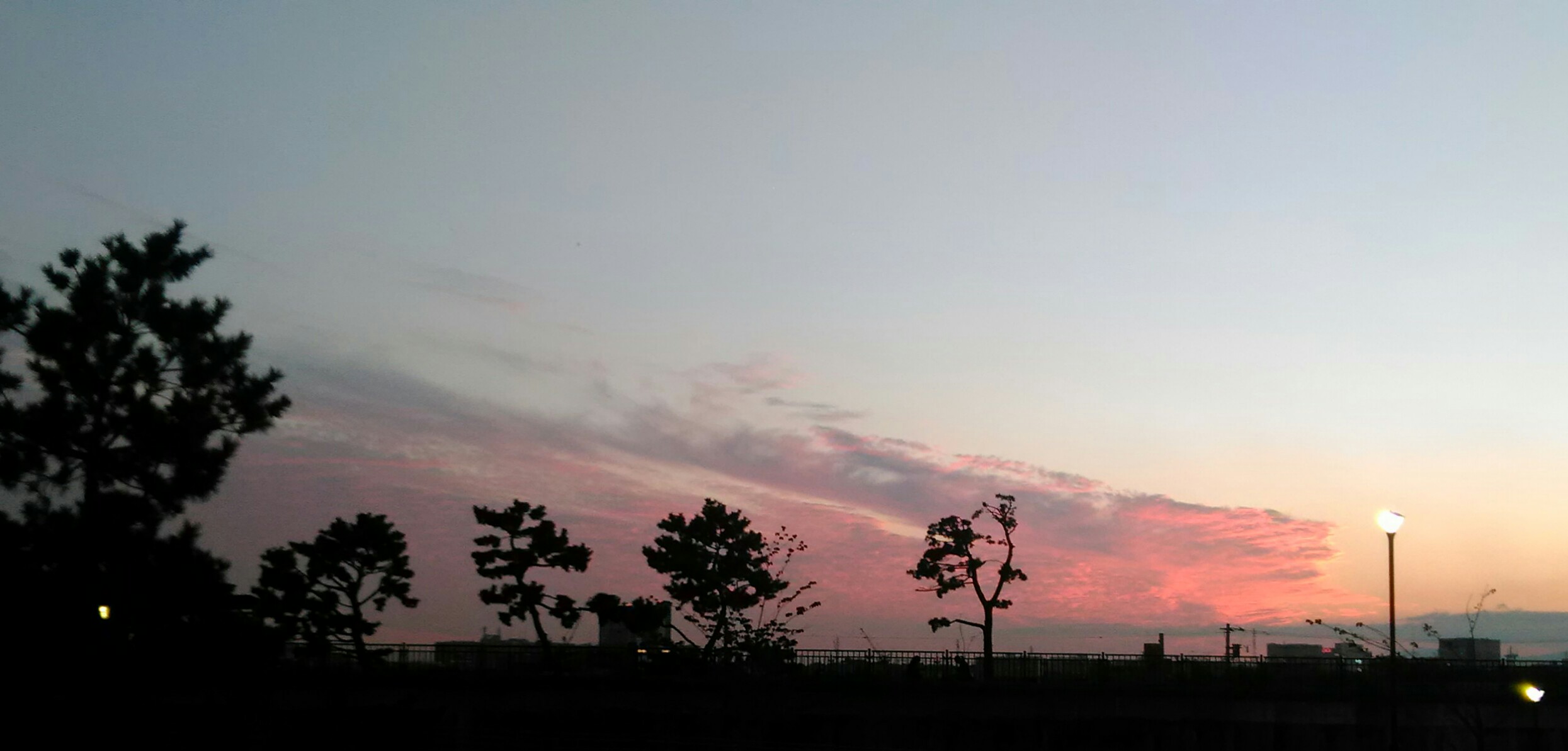 a0132059_2239088.jpg