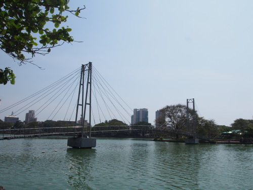 c0351060_16120943.jpg