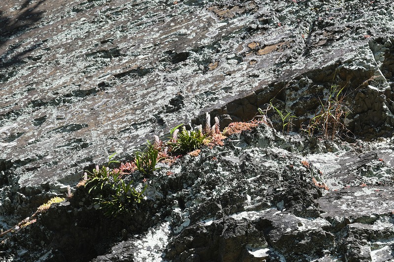 b0104861_19513034.jpg