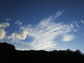 d0045362_153269.jpg