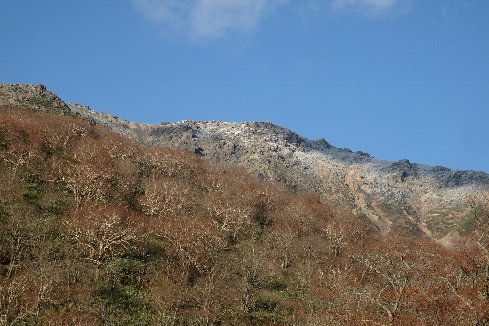 f0035962_952775.jpg