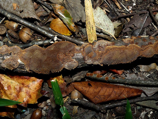 d0019074_8231813.jpg