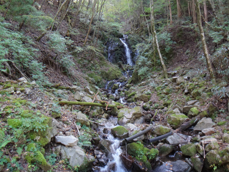 d0182075_19575206.jpg