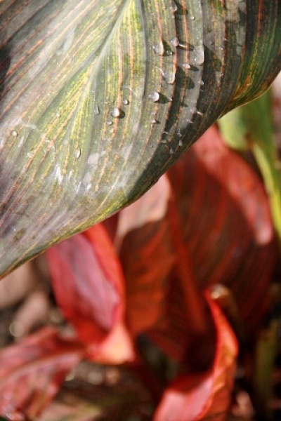e0154682_23323361.jpg
